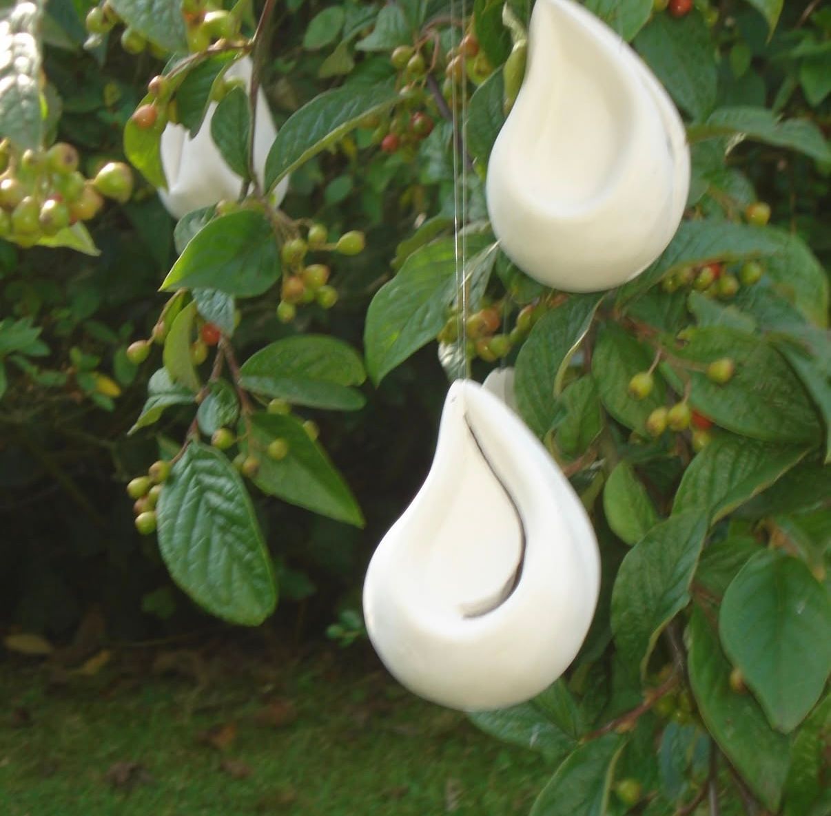 Mien De Winter - Druppels (prijs per stuk)