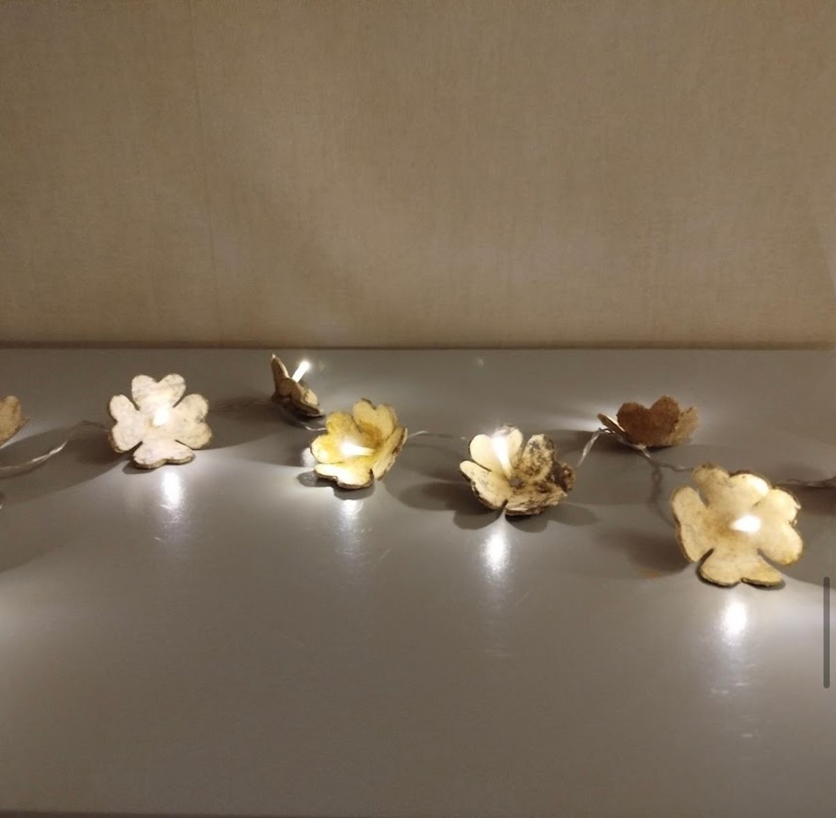 Mien De Winter - Bloemenlichtjes