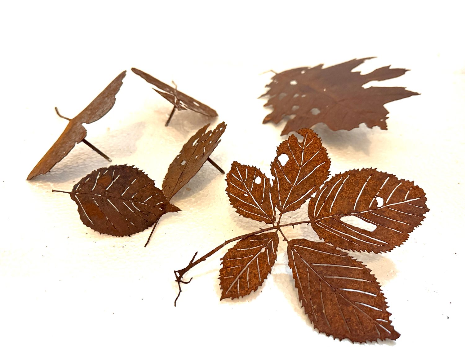 Bas en Nicole Berkelmans - Blaadjes (vanaf prijs)