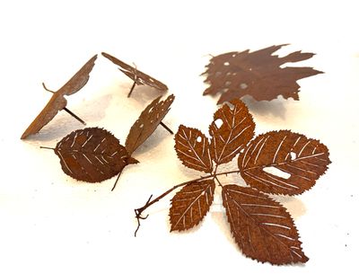 Bas en Nicole Berkelmans - Blaadjes (vanaf prijs)