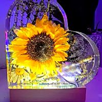 Suzanne Art Creations - Epoxy Lamp hart