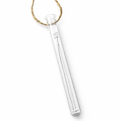 Sillyfish - Kunst in Glas