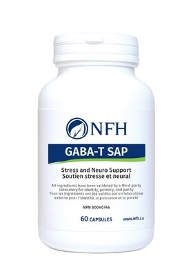 GABA-T SAP