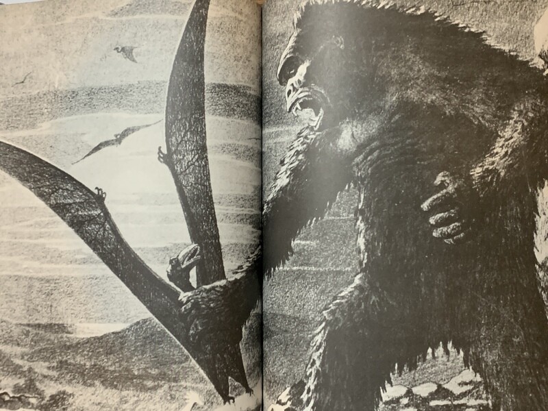The Making of King Kong (Paperback, USED)