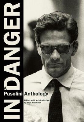 In Danger: A Pasolini Anthology by Paolo Paolini (Paperback, NEW)