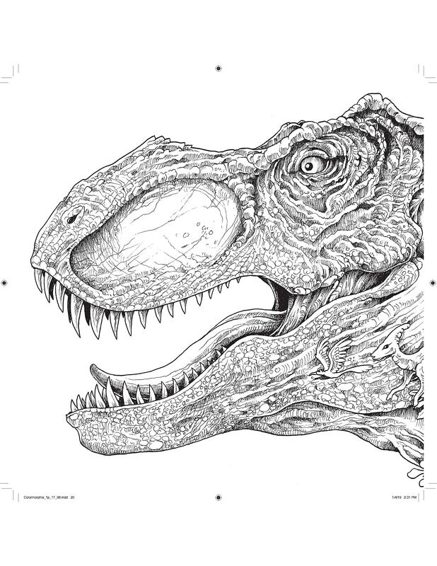 Colormorphia: Celebrating Kerby Rosanes's Coloring Challenges (Paperback, NEW)