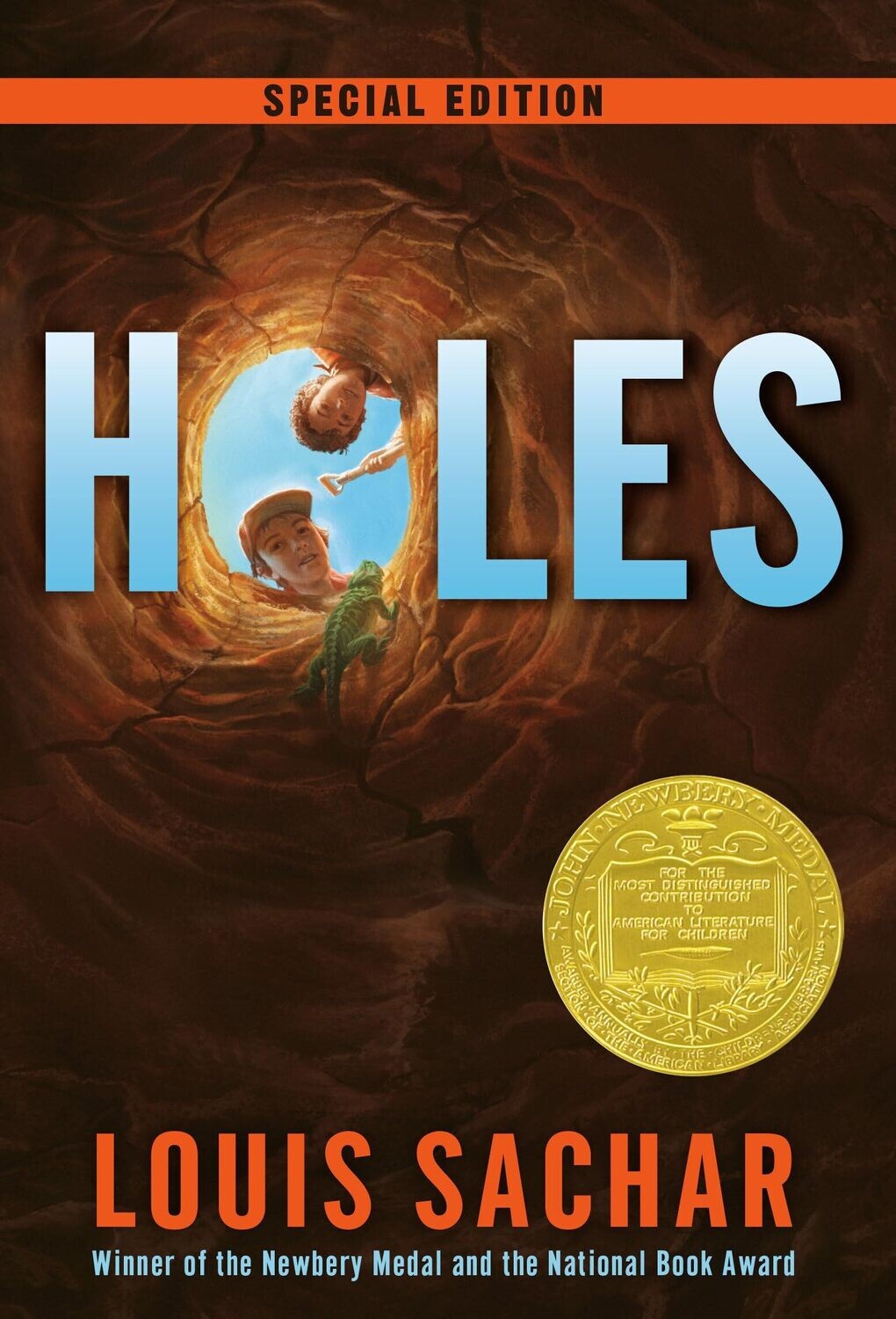 Holes (Paperback, NEW)