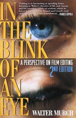 In the Blink of an Eye (Paperback, NEW)