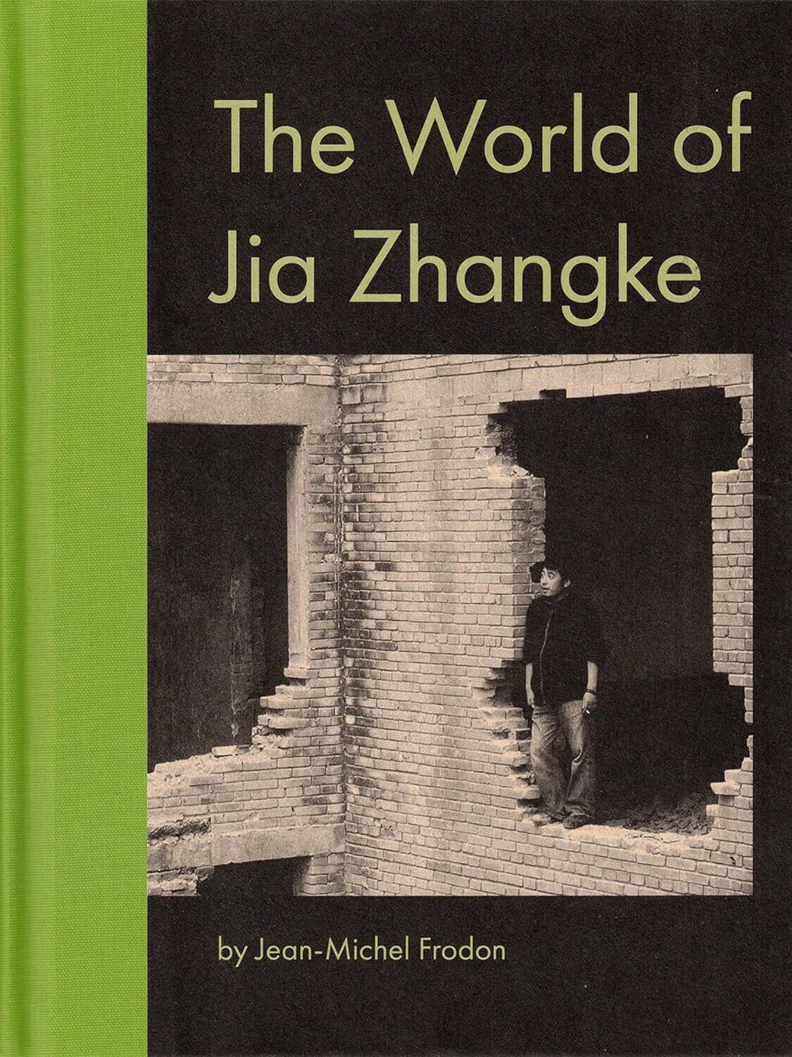 The World of Jia Zhangke by Jean-Michel Frodon (Hardcover, NEW/FLASH)