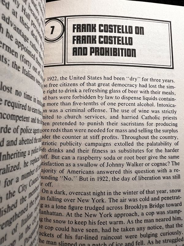 The Rise of the Mafia in New York (Hardcover, USED)