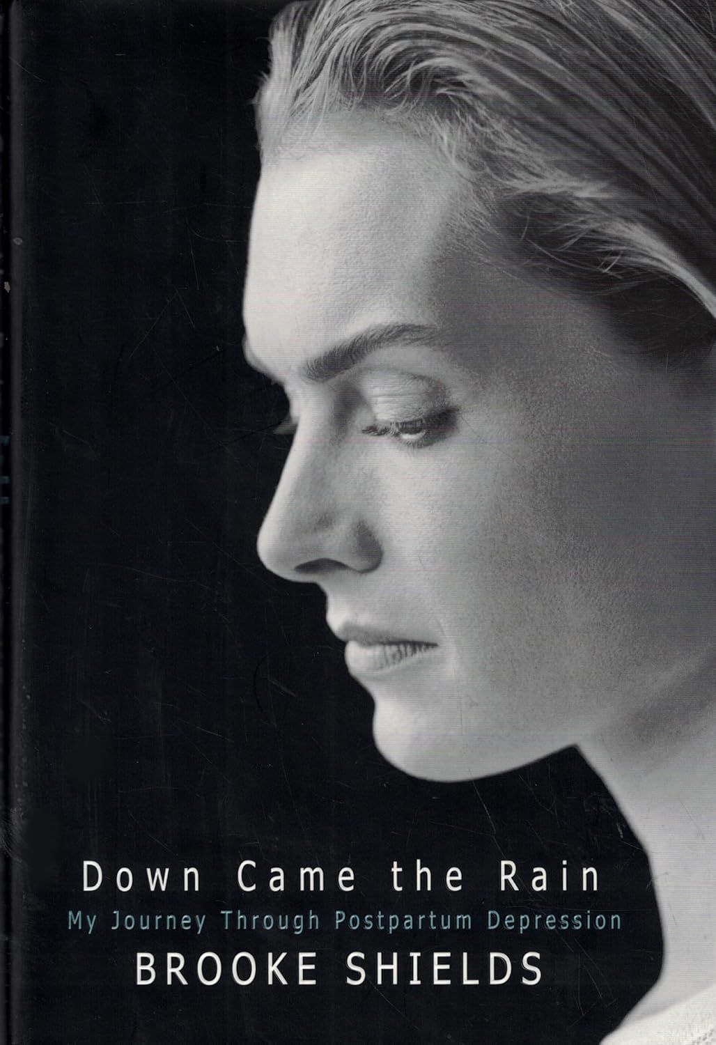 Down Came the Rain by Brooke Shields (Hardcover, USED)