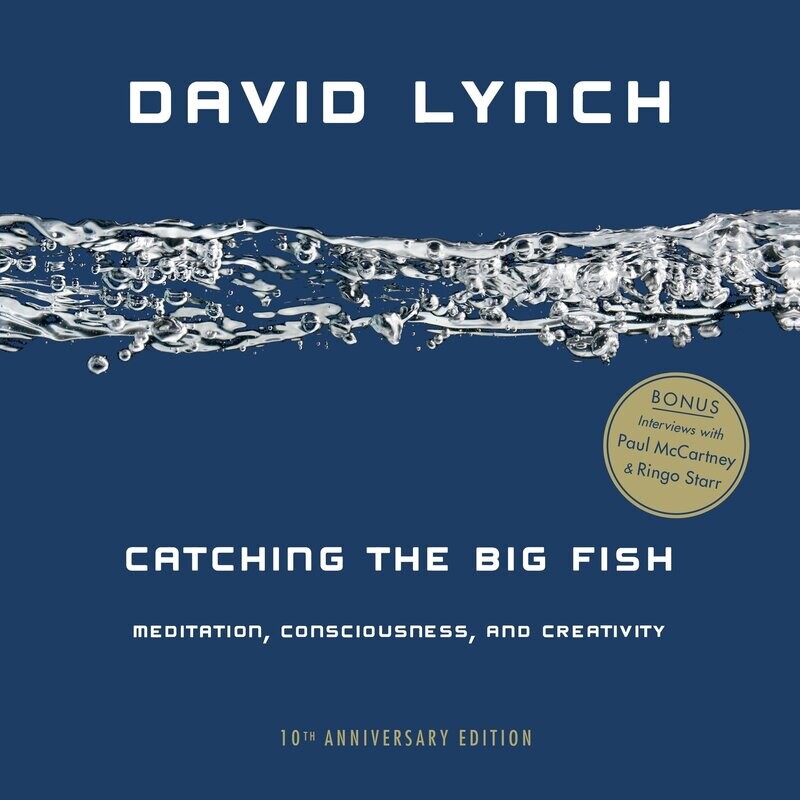 Catching the Big Fish: Meditation, Consciousness, and Creativity: 10th Anniversary Edition (Paperback, NEW) Catching the Big Fish: Meditation, Consciousness, and Creativity: 10th Anniversary Edition (Paperback, NEW)