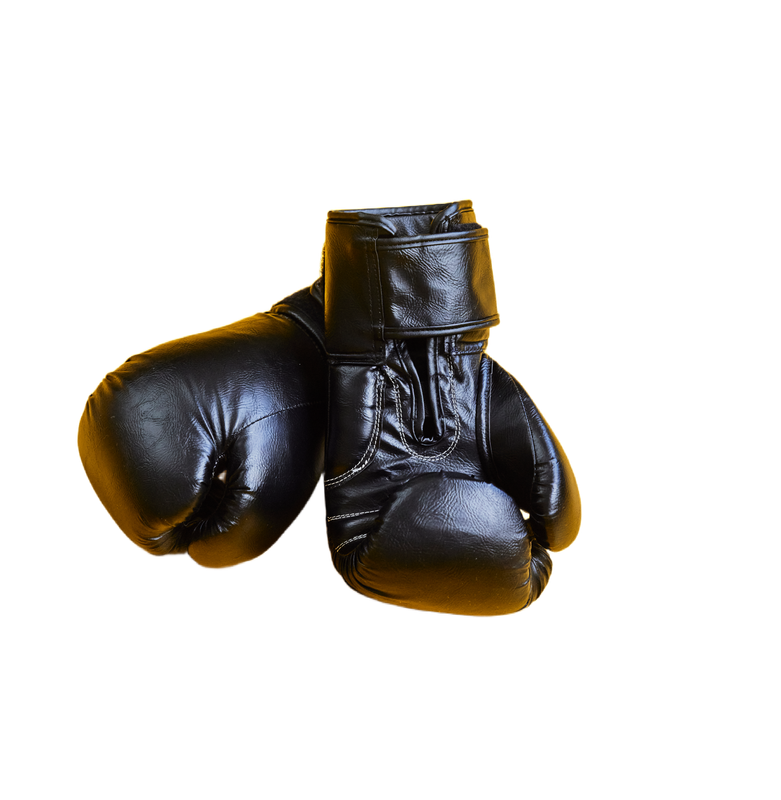 PRE-ORDER SIGNED The Ring Cycle: Rocky, Creed, and the American Experiment by Matt Zoller Seitz and Odie Henderson (Paperback, NEW) PRE-ORDER SIGNED The Ring Cycle: Rocky, Creed, and the American Experiment by Matt Zoller Seitz and Odie Henderson (Paperback, NEW)