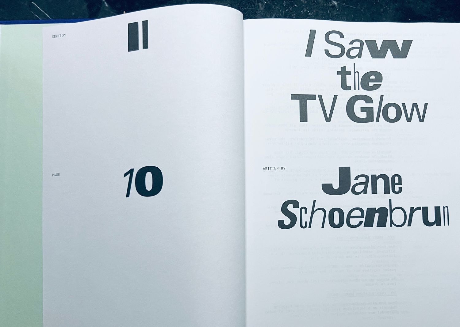 A24 Limited Edition I Saw the TV Glow Screenplay Book by Jane
