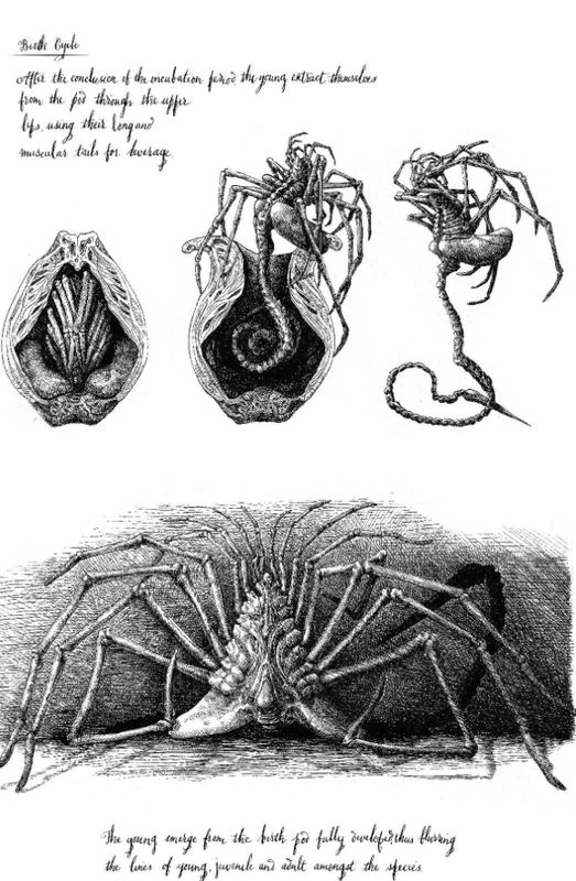 Alien Covenant: David's Drawings by Dane Hallett and Matt Hutton (Hardcover, NEW)