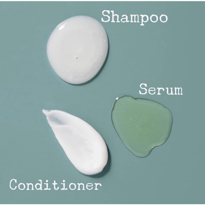 Scalp System Trio