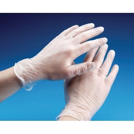 W- L-VINYL-PF  Vinyl Gloves Large P/F x 10 Carton