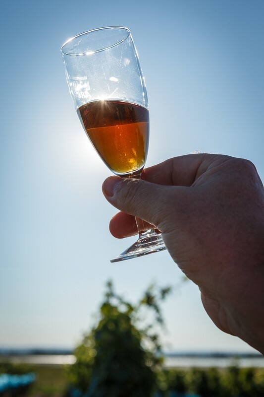 Orange Wein
