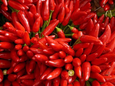 frische Chilis