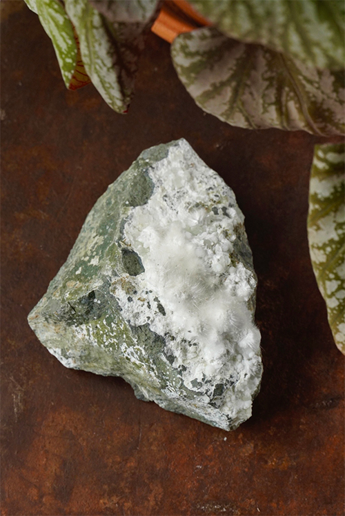 Okeniet op moedergesteente