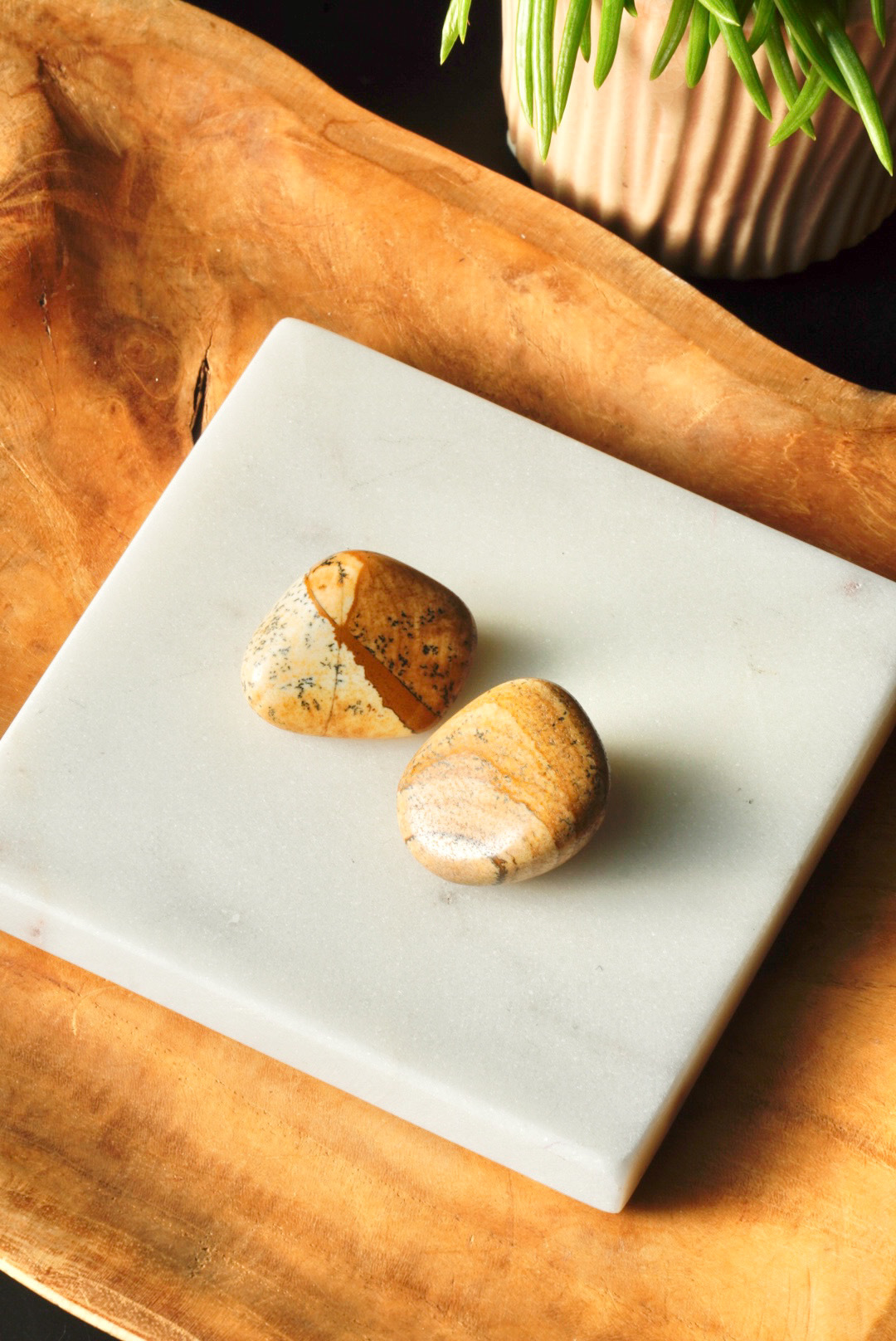 Landschap Jaspis trommelsteen