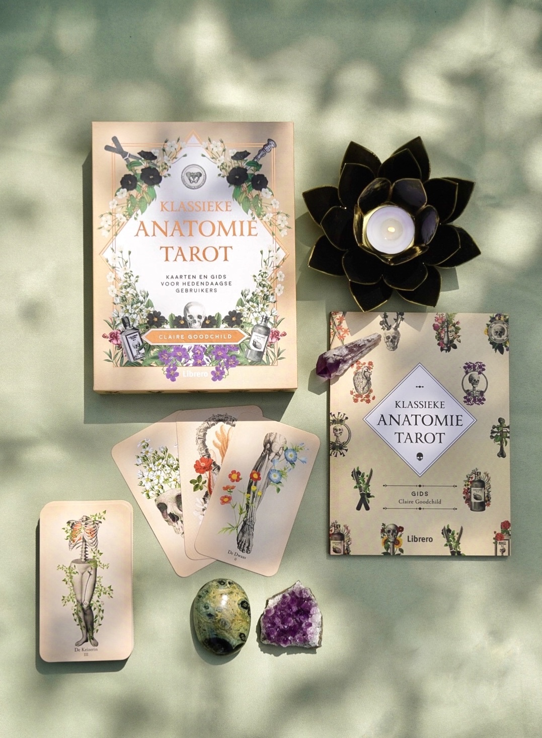 Klassieke Anatomie Tarot