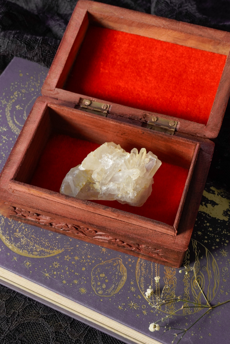 Bewaardoos Ster Maan