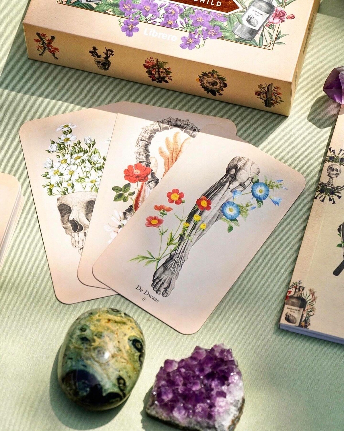 Klassieke Anatomie Tarot