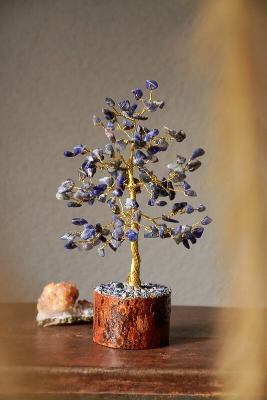 Edelsteenboom Sodaliet