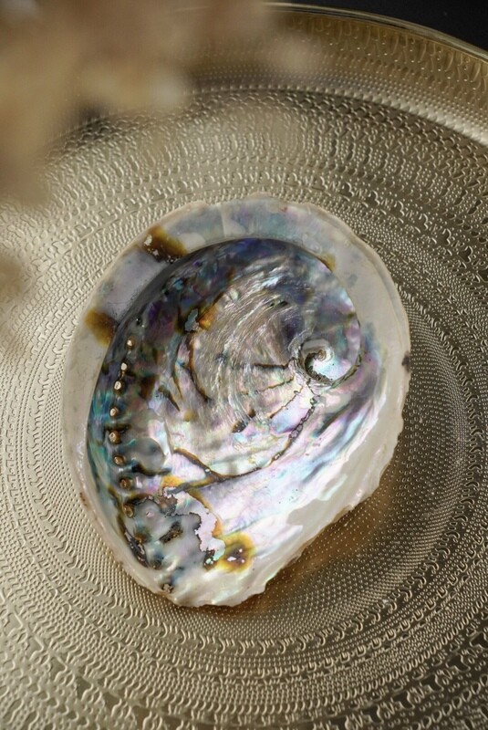 Abalone