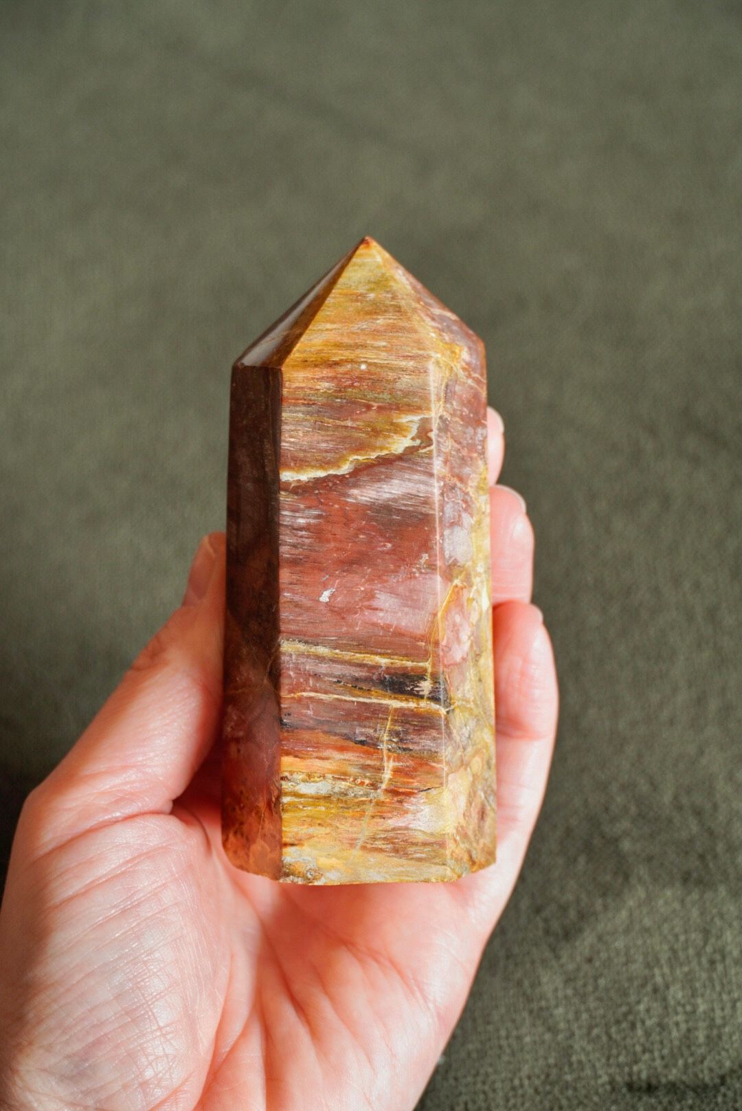Versteend Hout punt