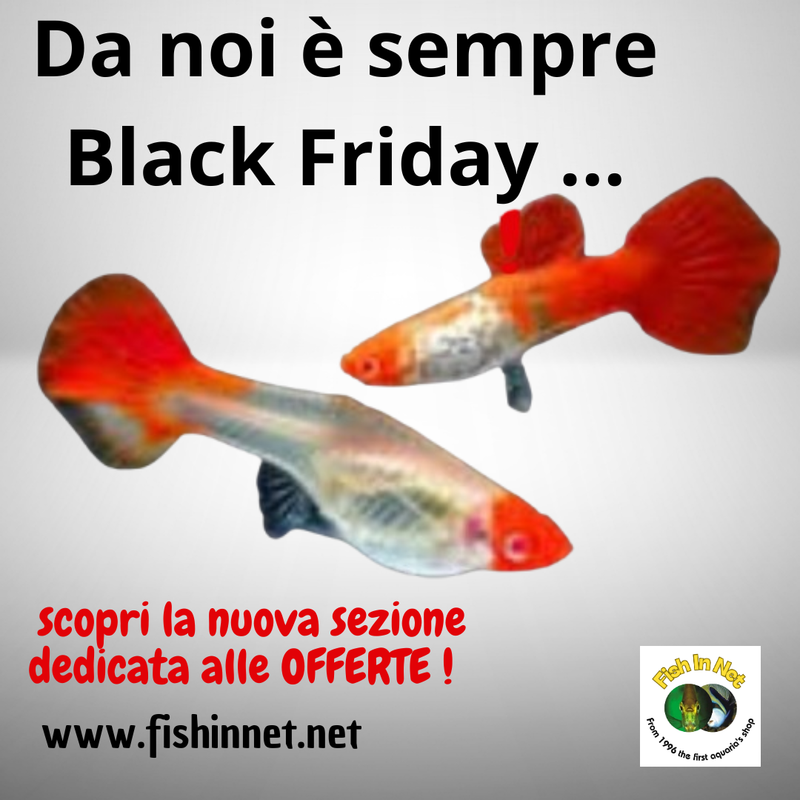 FISCH] Leviatano Lucido Pesce D'Acquario | Opale Artificiale Con CONSEGNA VELOCE