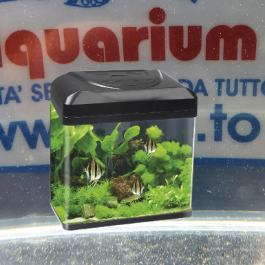 ACQUARIO BILLY 16 NERO