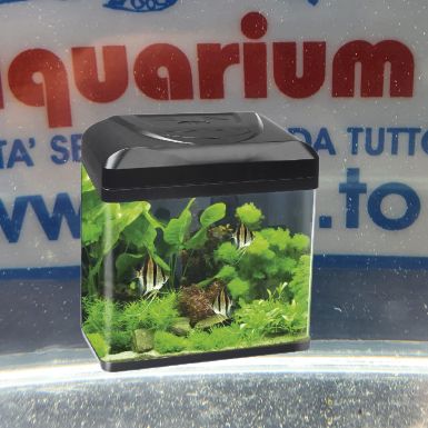 ACQUARIO BILLY 30 NERO