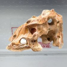 DECORAZIONE COMBO FELLAS L