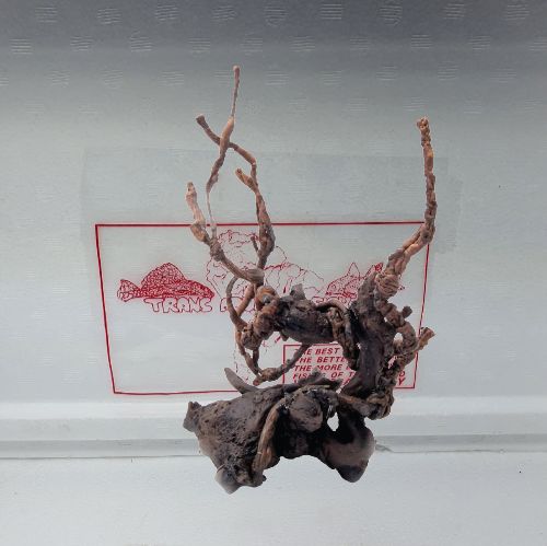 DECORAZIONE RADICE RATTAN S