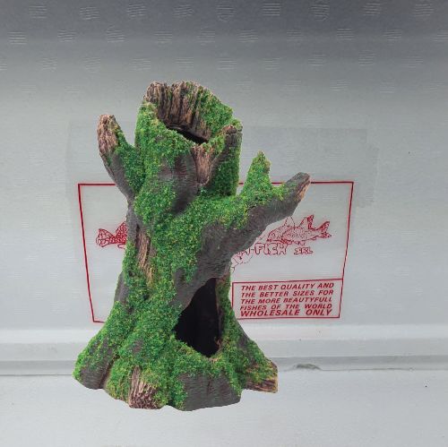 DECORAZIONE TRONCO CON MUSCHIO M