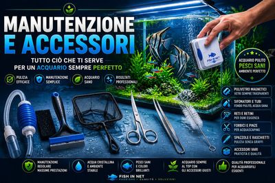 Manutenzione e accessori