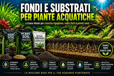 Fondi e Substrati per Piante Acquatiche