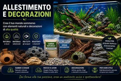 Allestimento e decorazioni