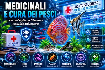 Medicinali e cura dei pesci