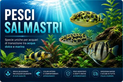 Pesci di acqua salmastra