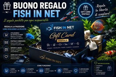 Buono regalo Fish in Net