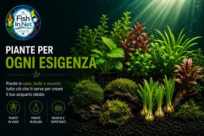 Piante per ogni esigenza