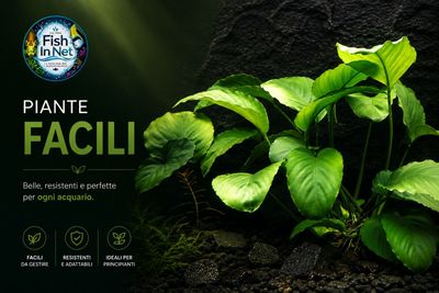 Piante facili