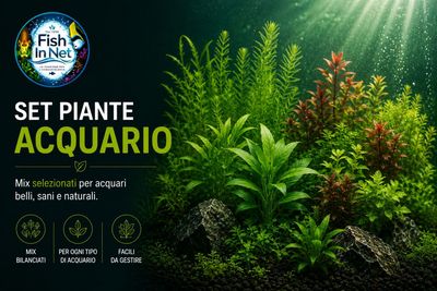 Set piante acquario