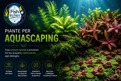 Piante per aquascaping