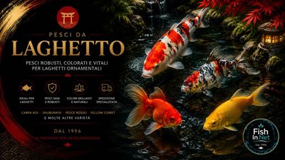 Classici da laghetto