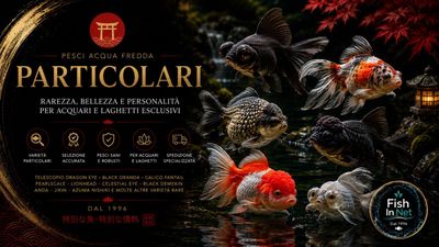 Pesci di acqua fredda particolari