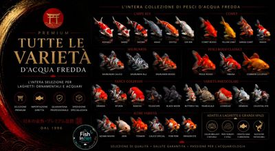 Tutte le varieta'